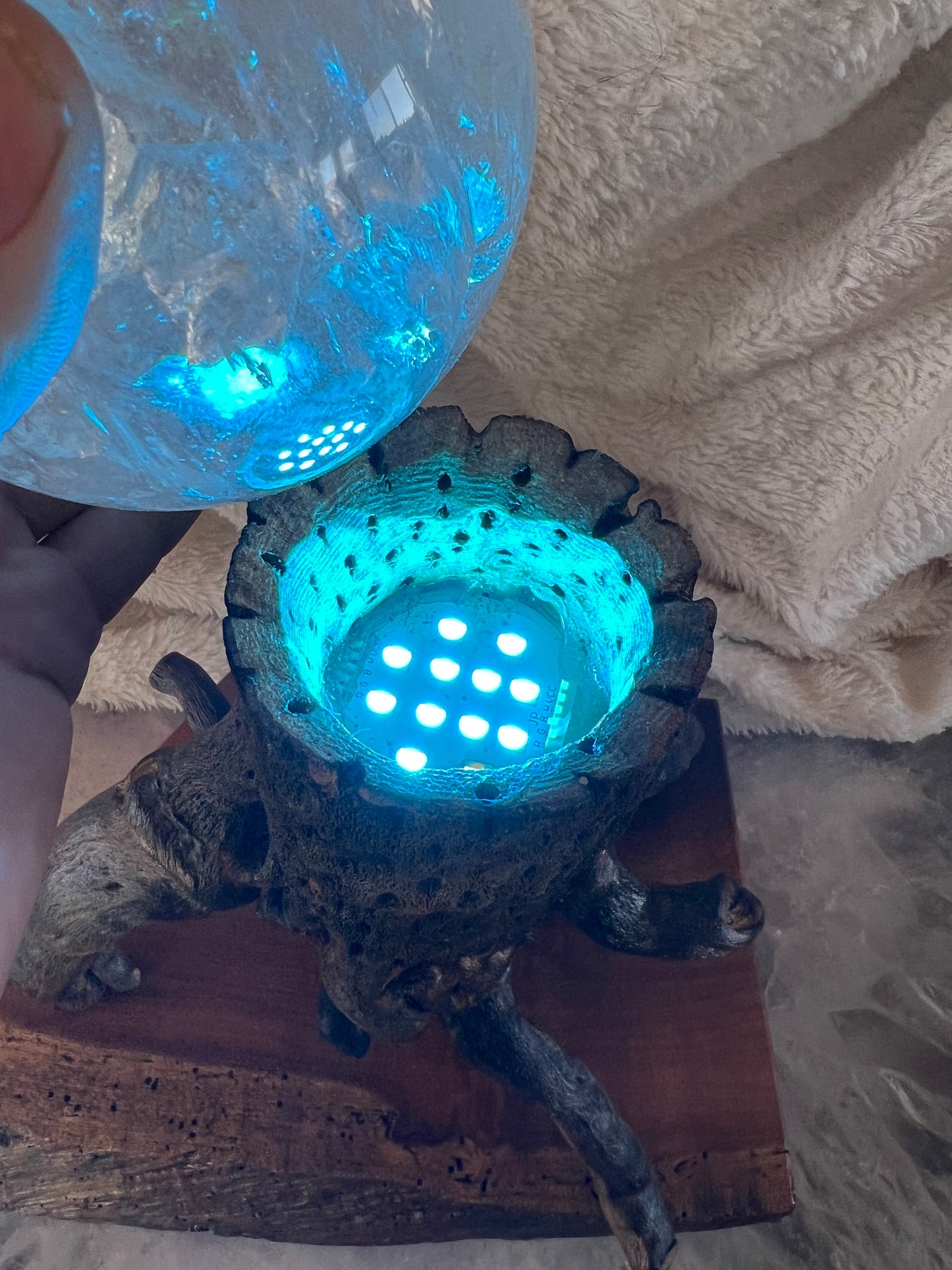 Quartz Sphere on lighted Cacti Skeleton